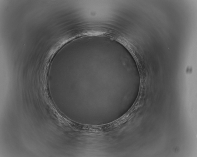 X0000091350337200708171436
