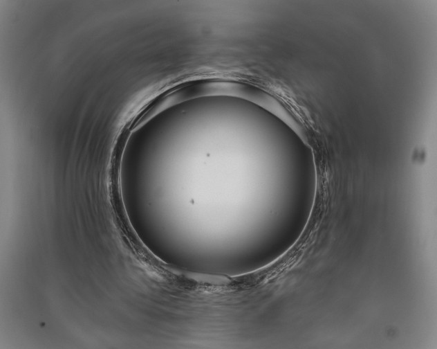 X0000091350340200708171436