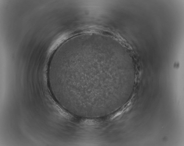 X0000091350341200708171436