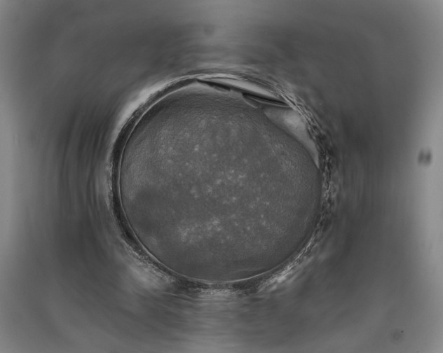 X0000091350342200708171436