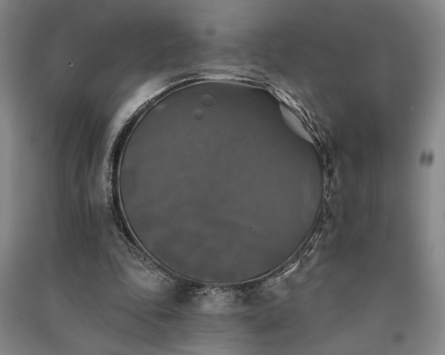 X0000091350343200708171436
