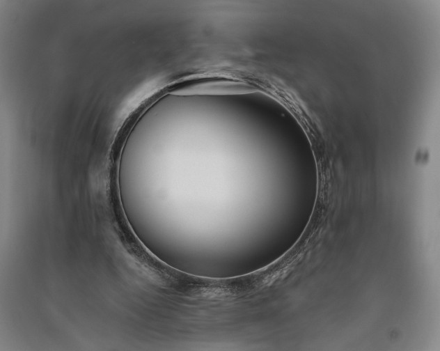 X0000091350344200708171436