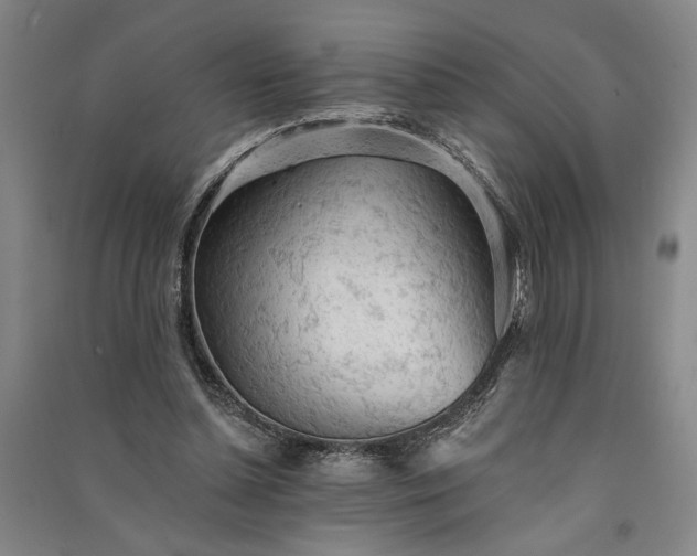 X0000091350348200708171436