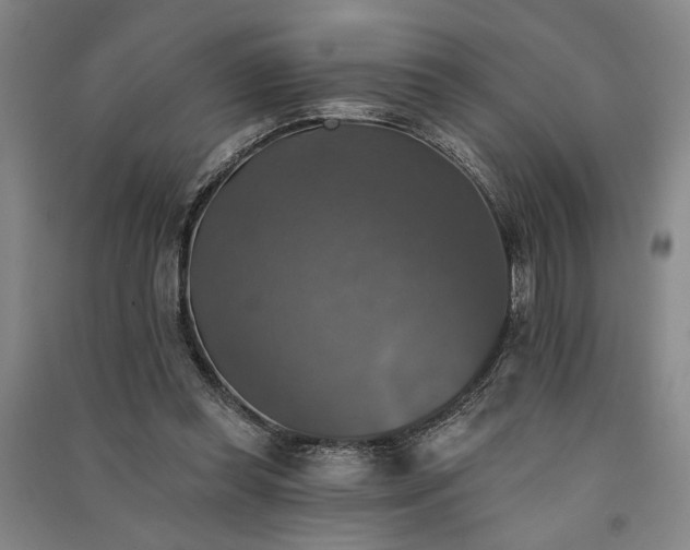 X0000091350349200708171436