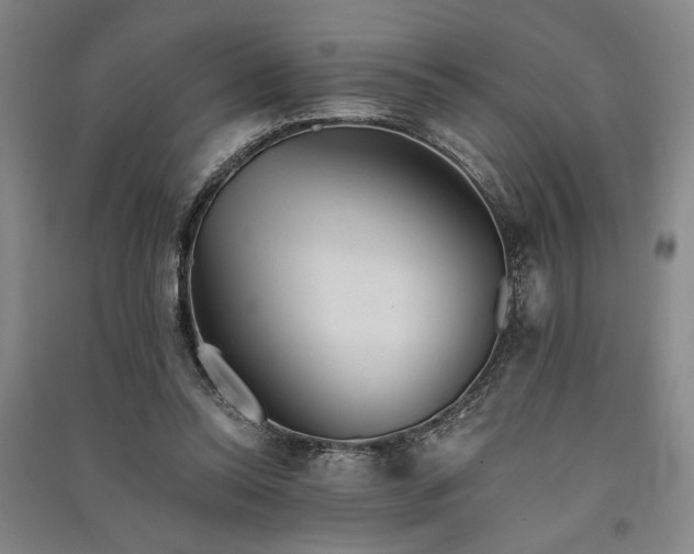 X0000091350350200708171436