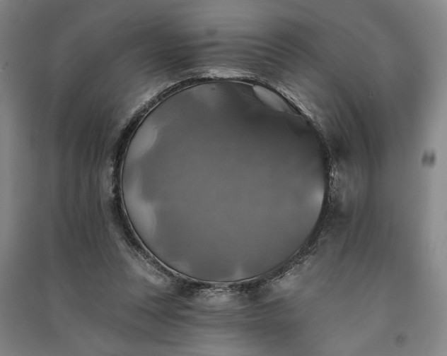 X0000091350351200708171436