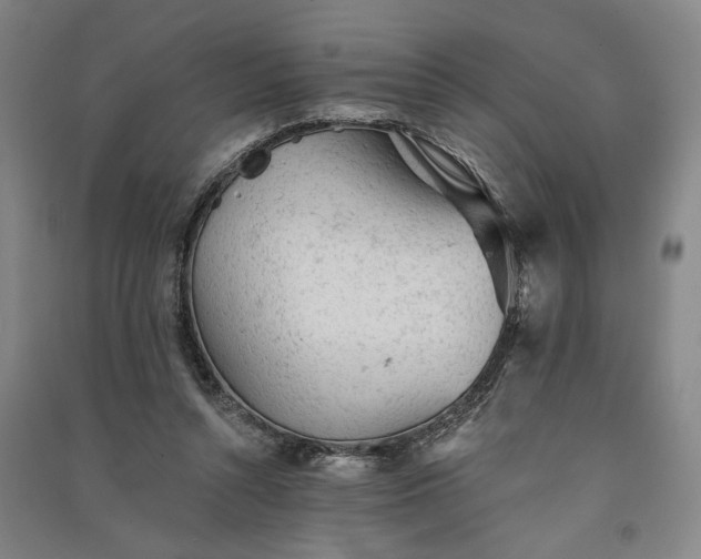 X0000091350352200708171436