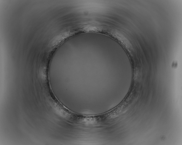 X0000091350353200708171436
