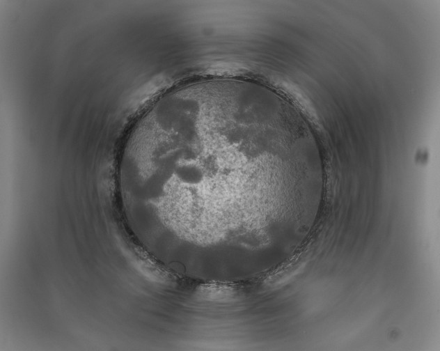 X0000091350354200708171436