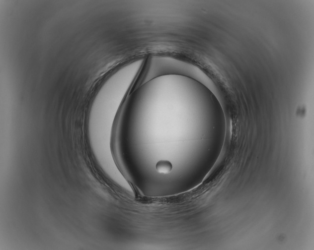 X0000091350356200708171436