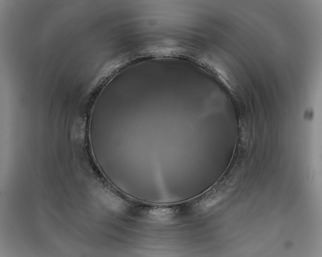 X0000091350357200708171436
