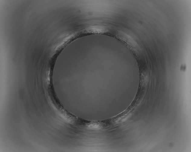 X0000091350358200708171436