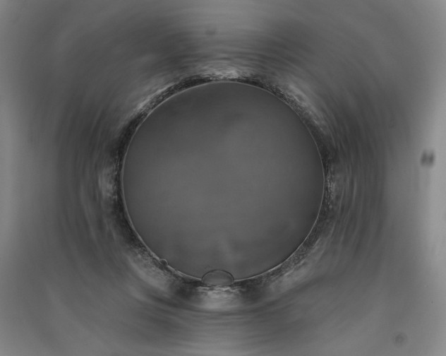 X0000091350359200708171436