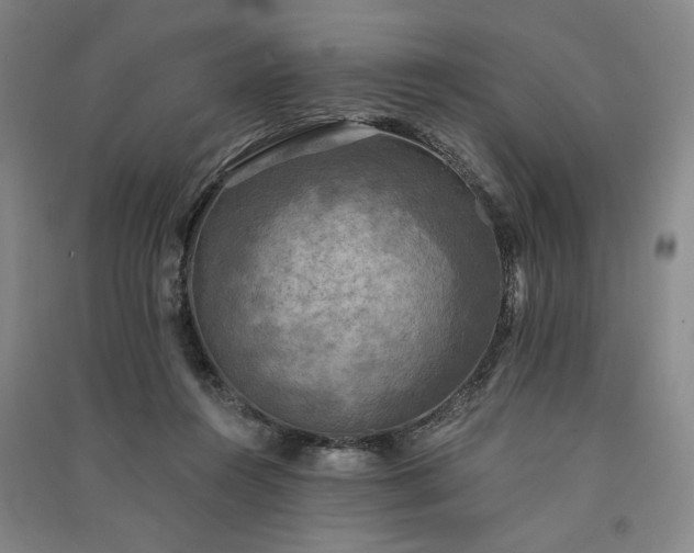 X0000091350360200708171436