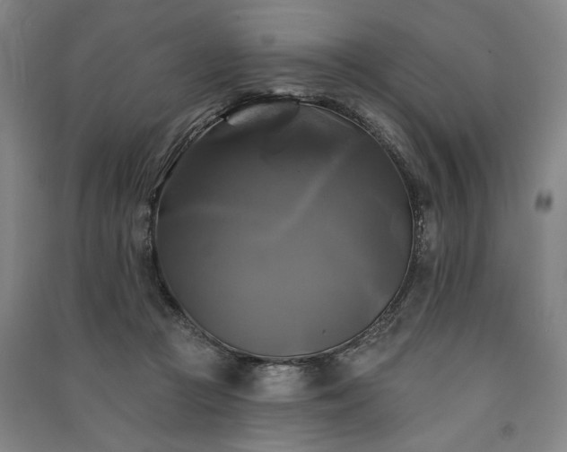X0000091350361200708171436