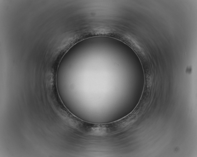 X0000091350362200708171436