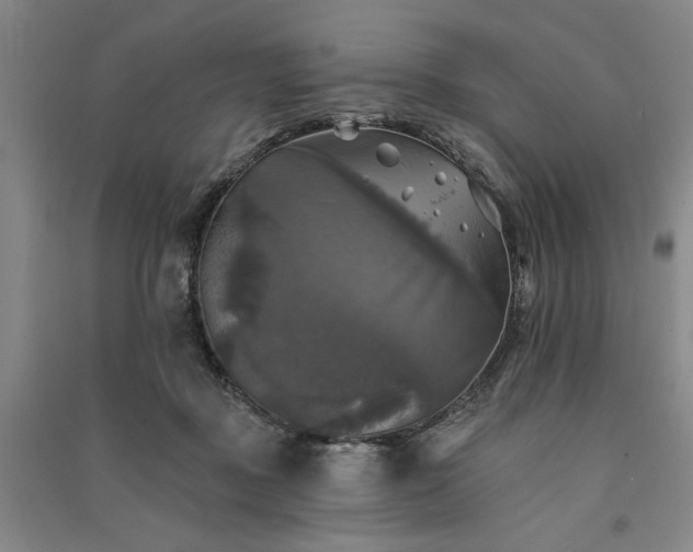 X0000091350363200708171436