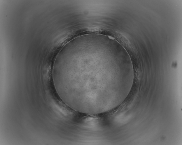 X0000091350364200708171436