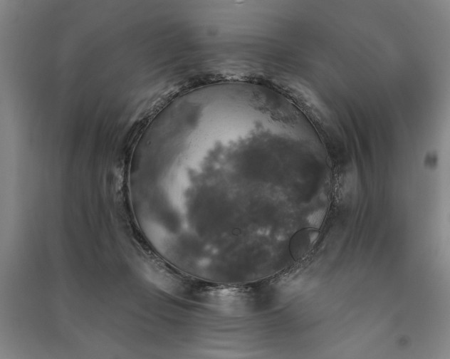 X0000091350365200708171436