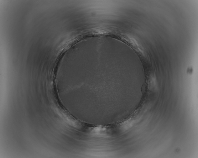 X0000091350366200708171436