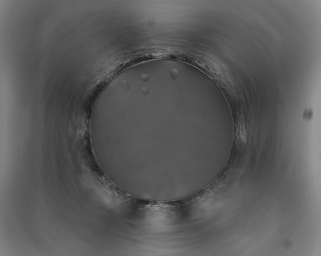 X0000091350367200708171436