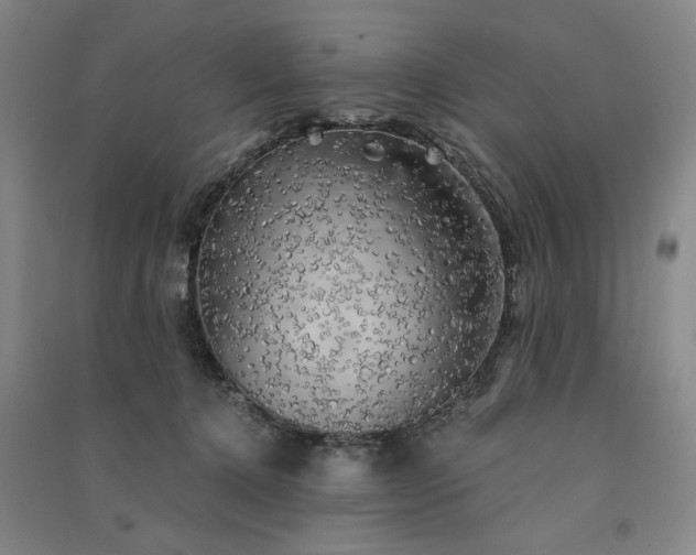 X0000091350368200708171436
