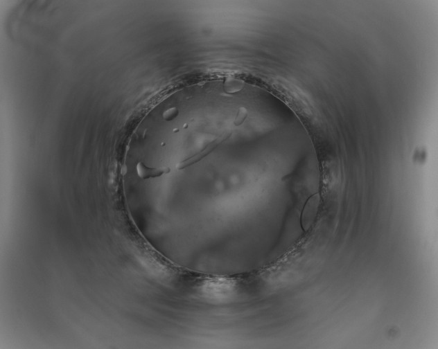 X0000091350369200708171436