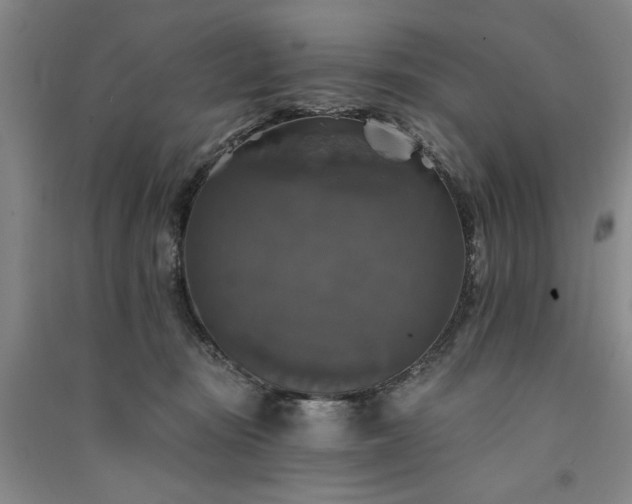 X0000091350371200708171436