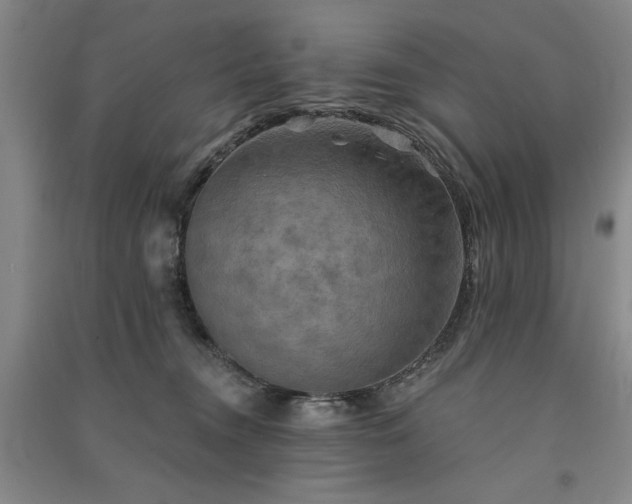 X0000091350372200708171436