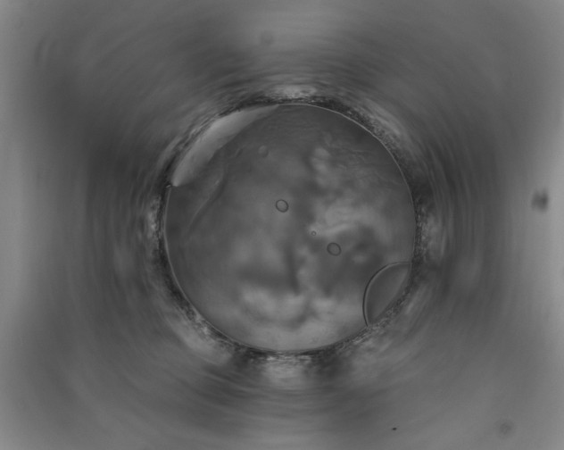 X0000091350373200708171436