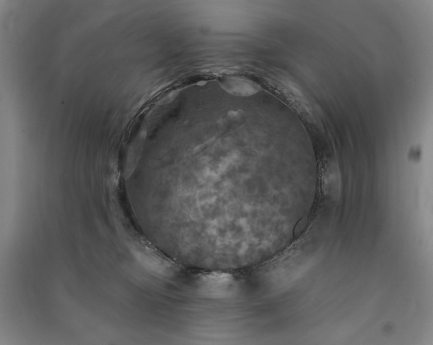 X0000091350374200708171436