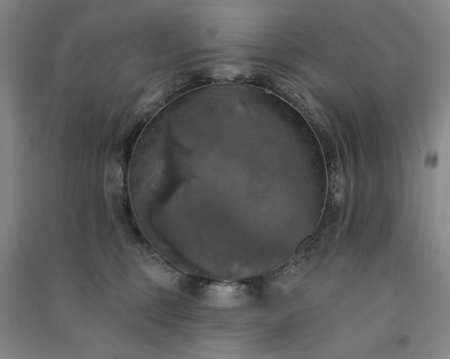 X0000091350375200708171436