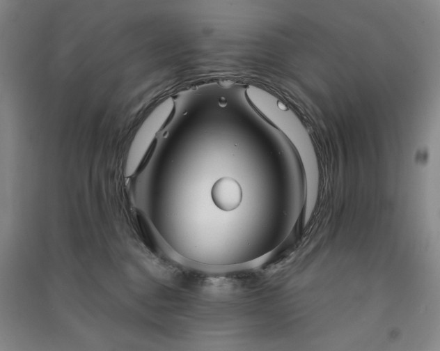 X0000091350376200708171436