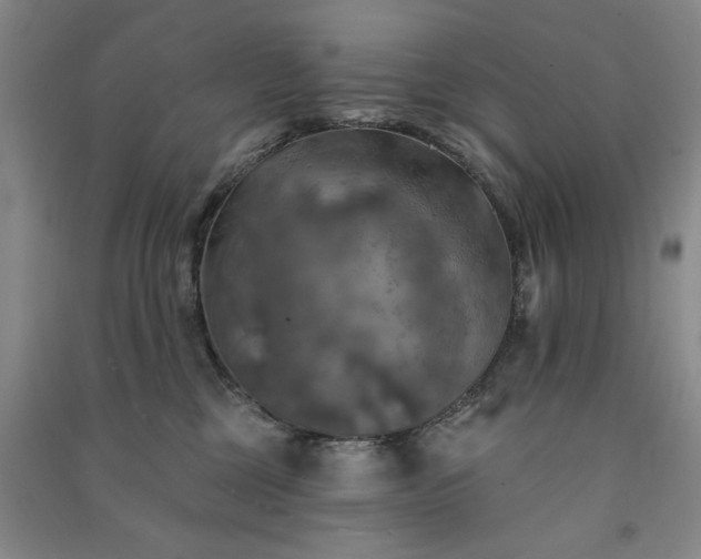 X0000091350377200708171436