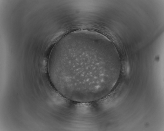 X0000091350378200708171436