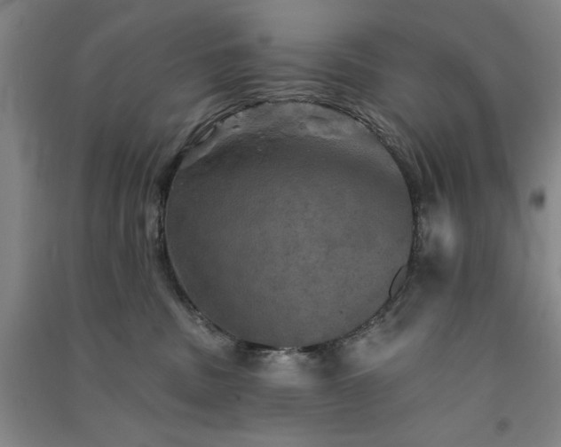 X0000091350379200708171436