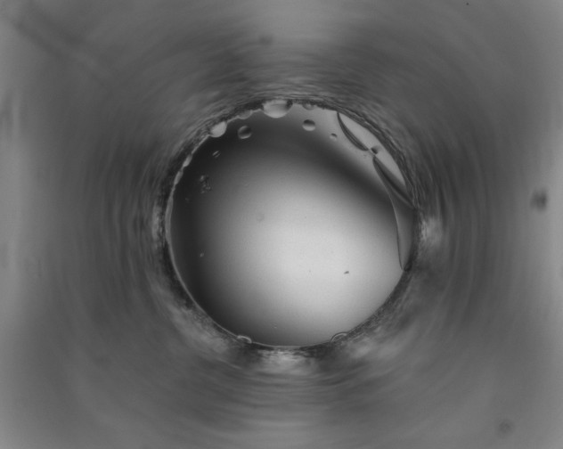 X0000091350380200708171436
