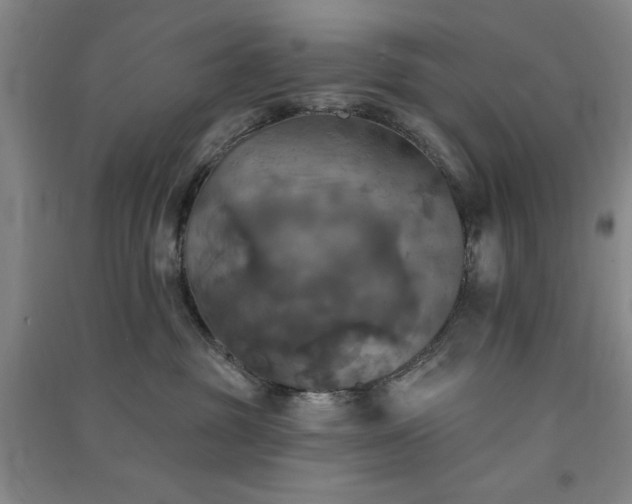 X0000091350381200708171436