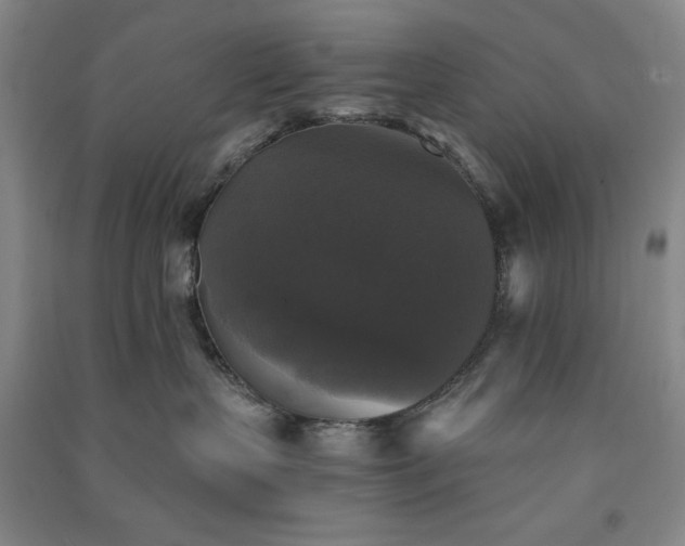 X0000091350383200708171436