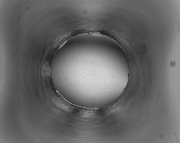 X0000091350384200708171436
