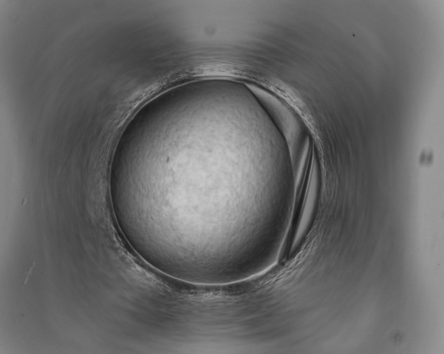 X0000091350385200708171436