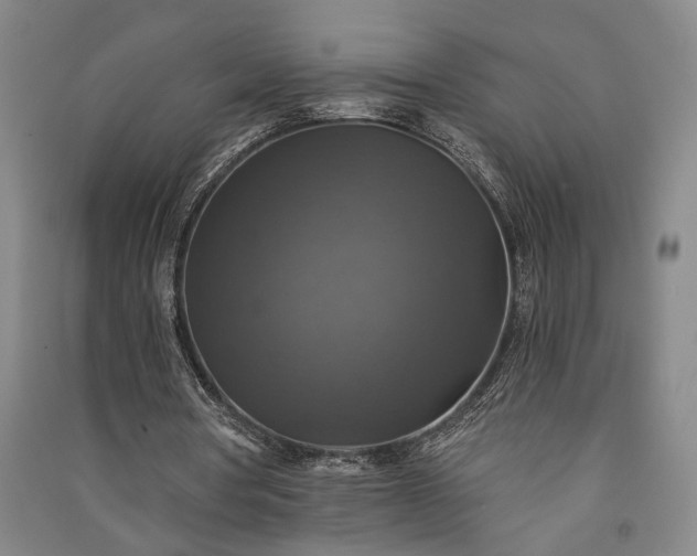 X0000091350386200708171436