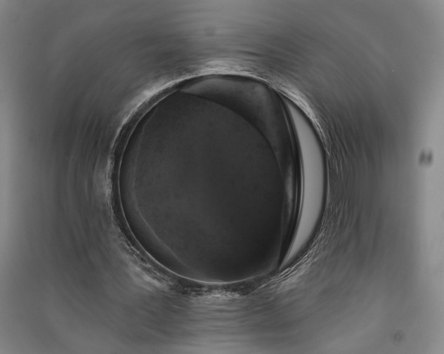 X0000091350387200708171436