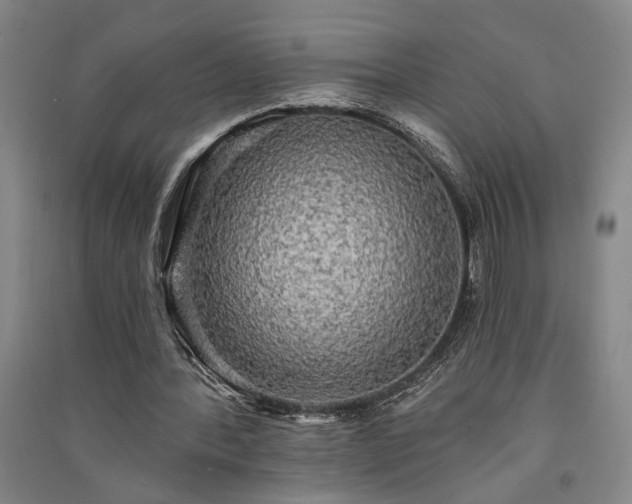 X0000091350388200708171436