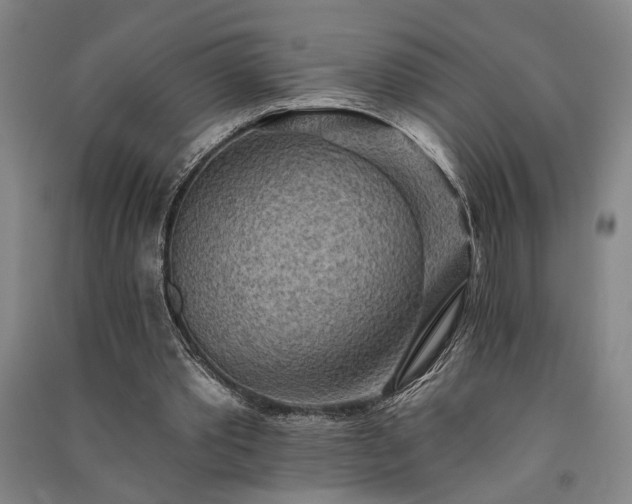 X0000091350389200708171436