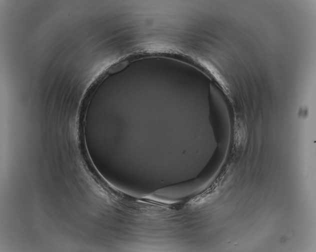 X0000091350391200708171436