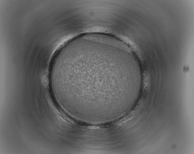 X0000091350392200708171436