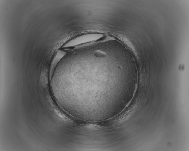 X0000091350393200708171436