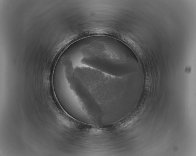 X0000091350394200708171436