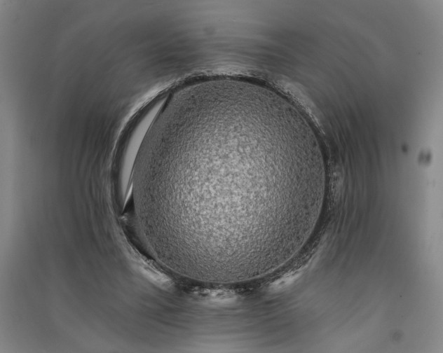 X0000091350395200708171436